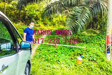 Sabai, Paya Chum, Bentong