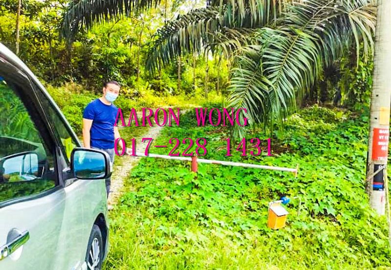 Sabai, Paya Chum, Bentong