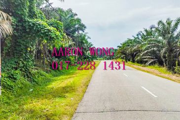 Sabai, Paya Chum, Bentong