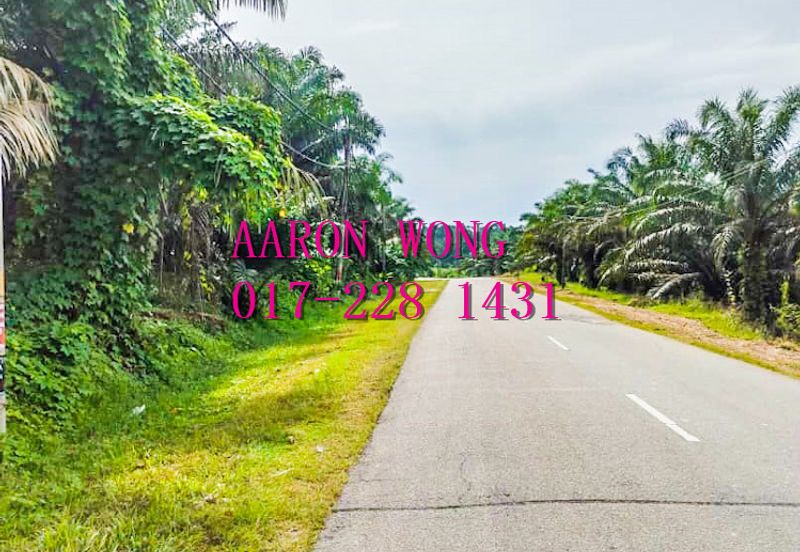 Sabai, Paya Chum, Bentong