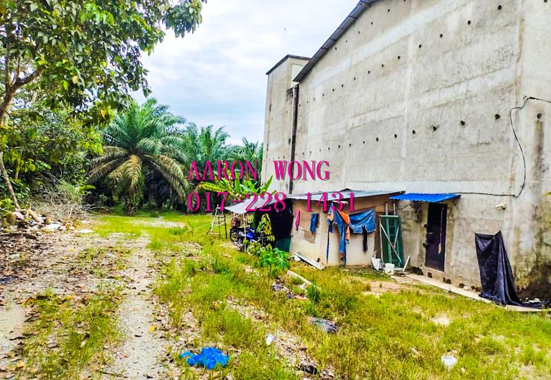 Sabai, Paya Chum, Bentong