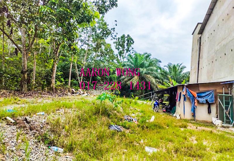 Sabai, Paya Chum, Bentong