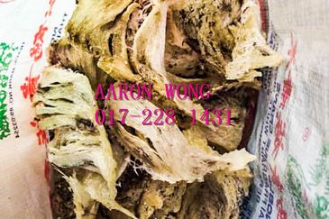 Sabai, Paya Chum, Bentong