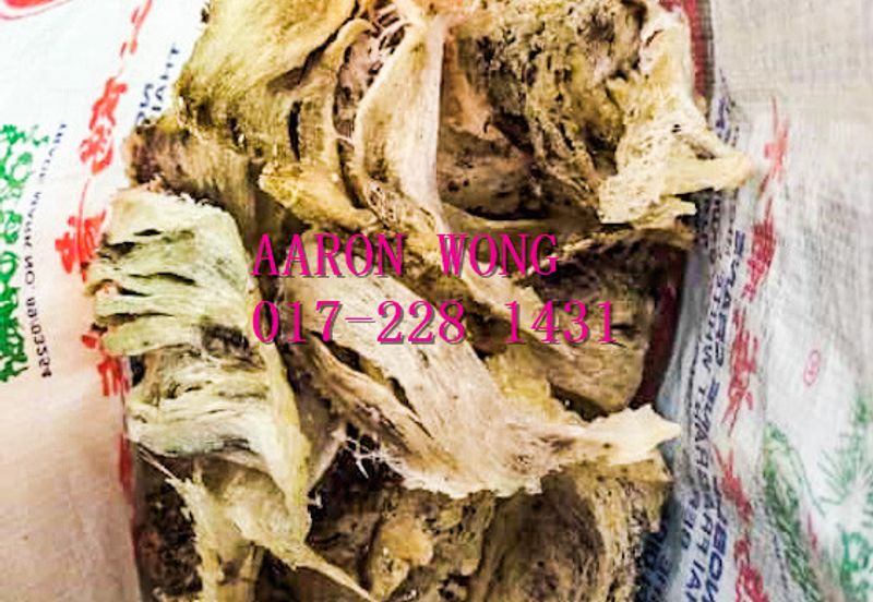 Sabai, Paya Chum, Bentong