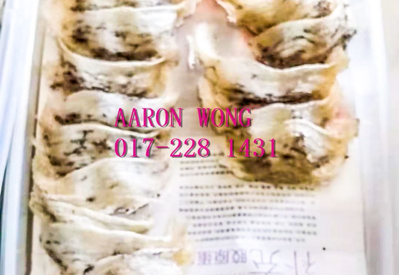 Sabai, Paya Chum, Bentong