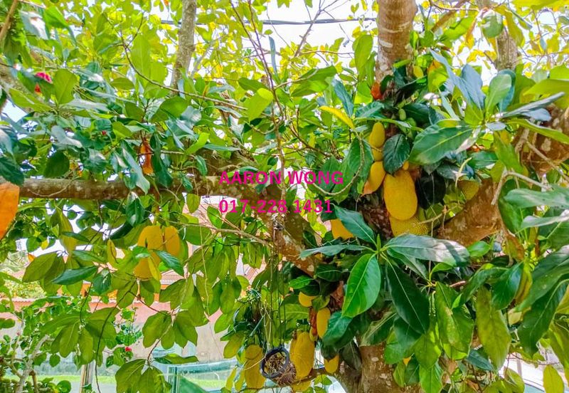 Taman Peranginan Mutiara