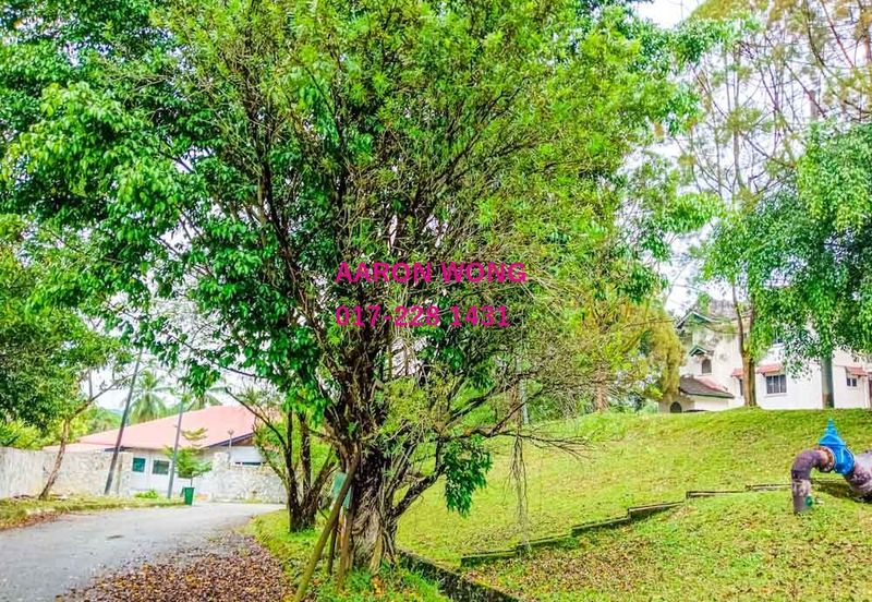 Serendah Golf Resort (Chazara, Fabriciana, Issoria, Vanessa)