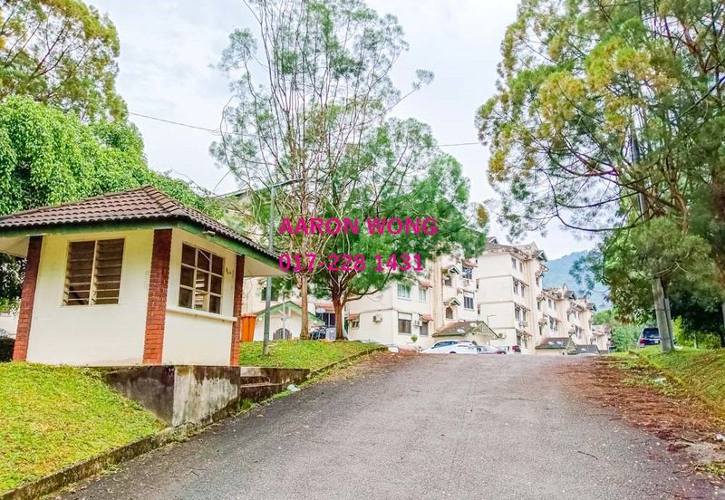 Serendah Golf Resort (Chazara, Fabriciana, Issoria, Vanessa)