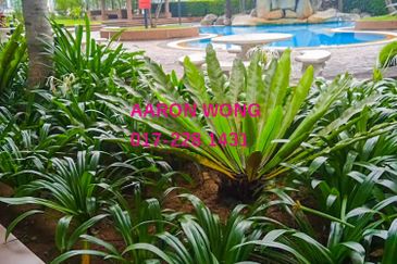 Bukit Desa Condominium