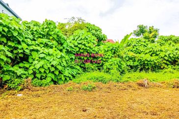 Bandar Country Homes