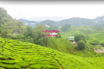 Bandar Country Homes