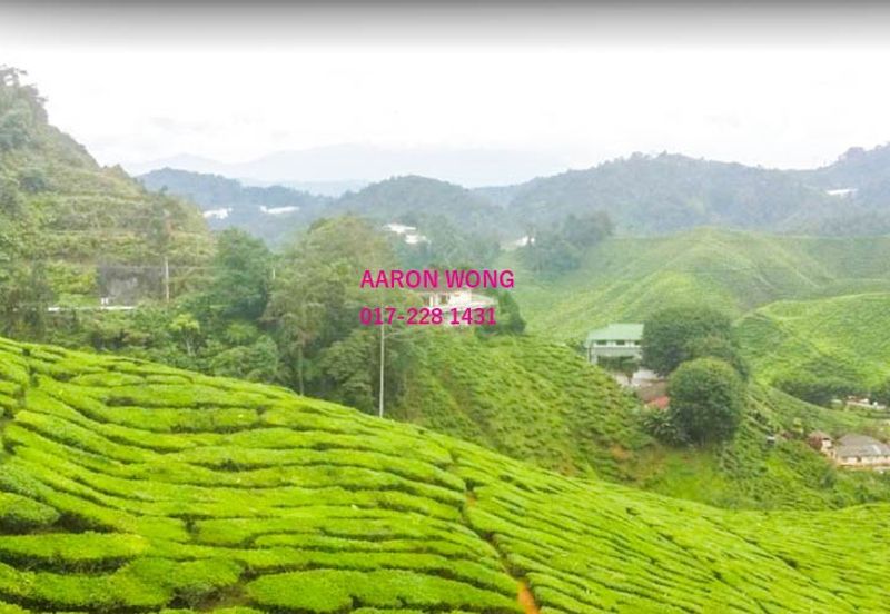 Bandar Country Homes