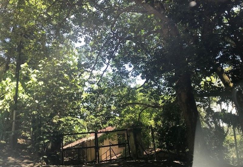 Bukit tunku, kenny hills