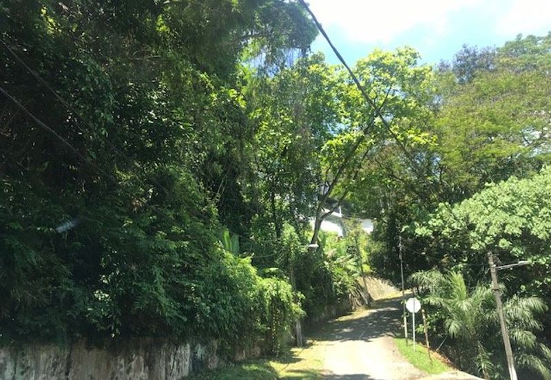 Bukit tunku, kenny hills