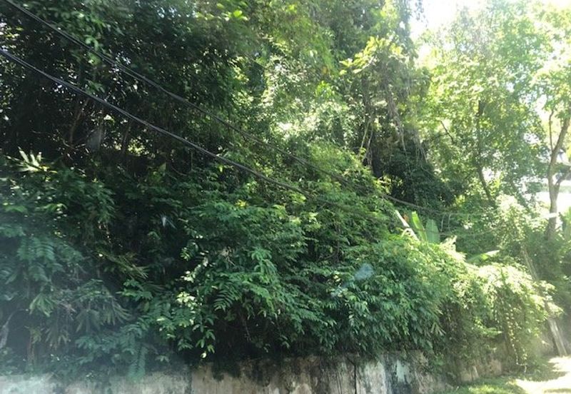 Bukit tunku, kenny hills