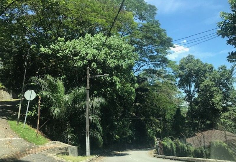 Bukit tunku, kenny hills