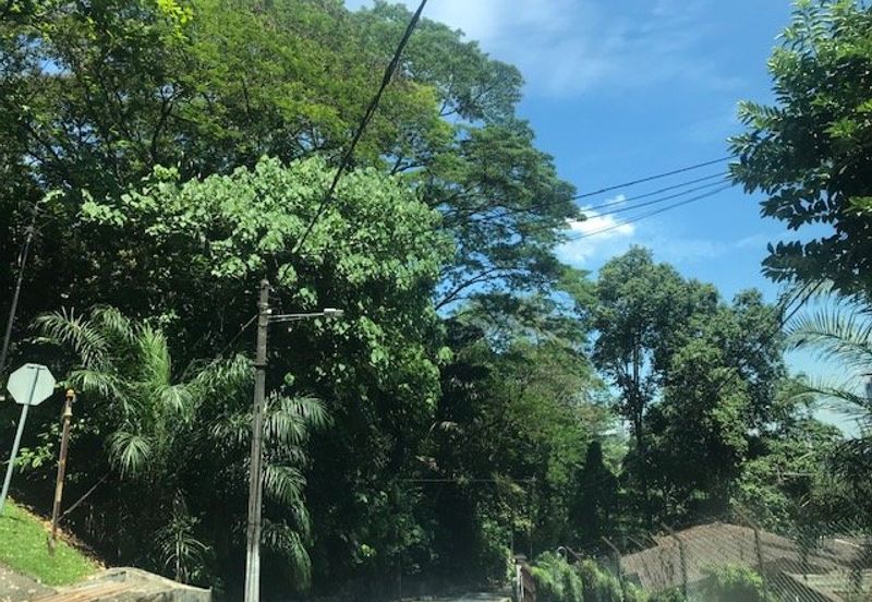 Bukit tunku, kenny hills