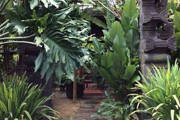 Tropicana Indah (Damansara Indah Resort Homes)