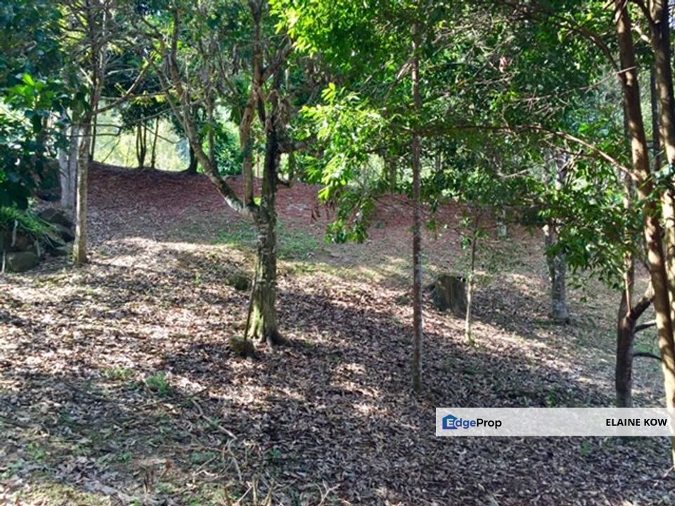 LAND FOR SALE AT JANDA BAIK, BENTONG, PAHANG, Pahang, Bentong