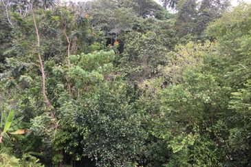 Damansara heights, Kuala Lumpur 