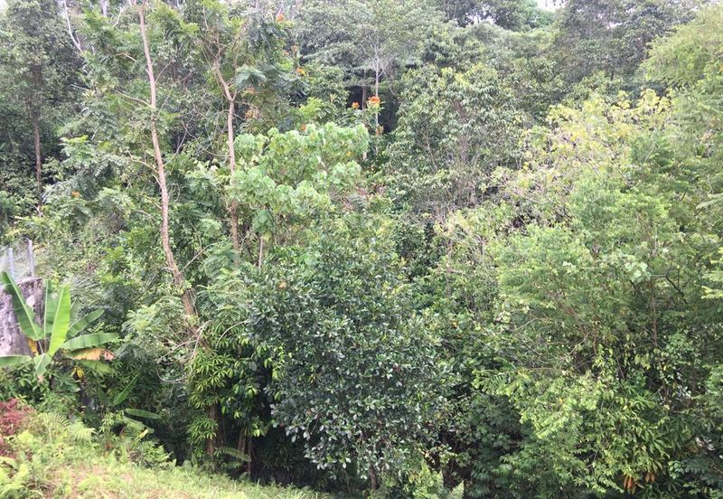 Damansara heights, Kuala Lumpur 