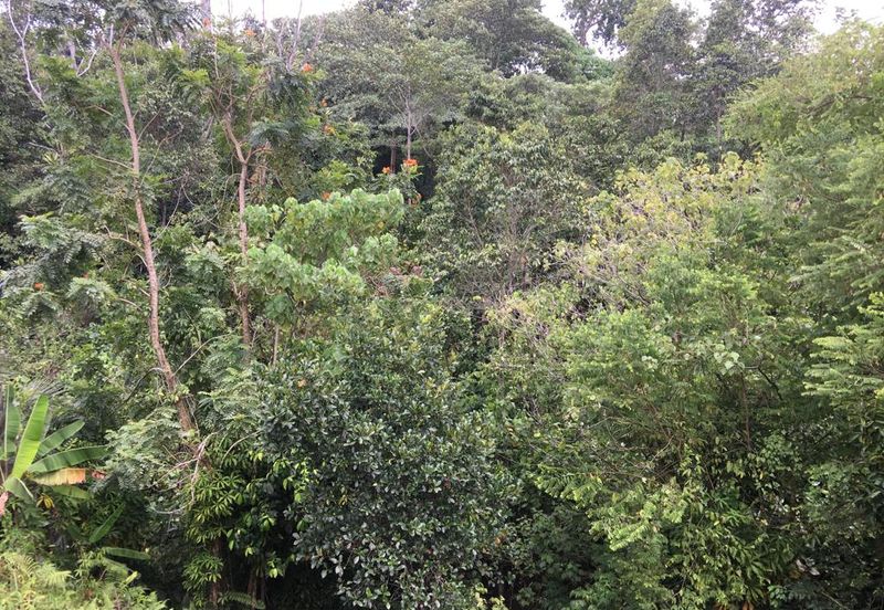 Damansara Heights (Bukit Damansara)