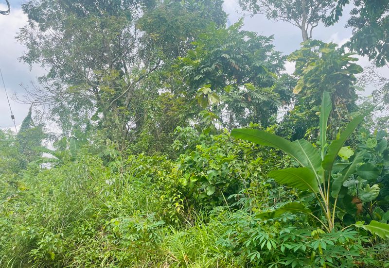 Bukit gasing, jalan gasing, petaling jaya 