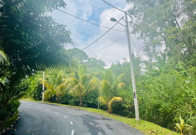 Bukit gasing, jalan gasing, petaling jaya 