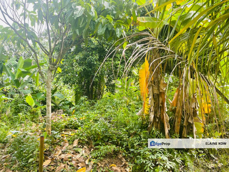 Bukit gasing, jalan gasing, petaling jaya , Selangor, Petaling Jaya