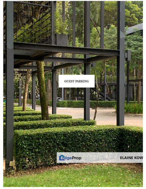 Seri pilmoor, ara damansara, petaling jaya, Selangor, Ara Damansara