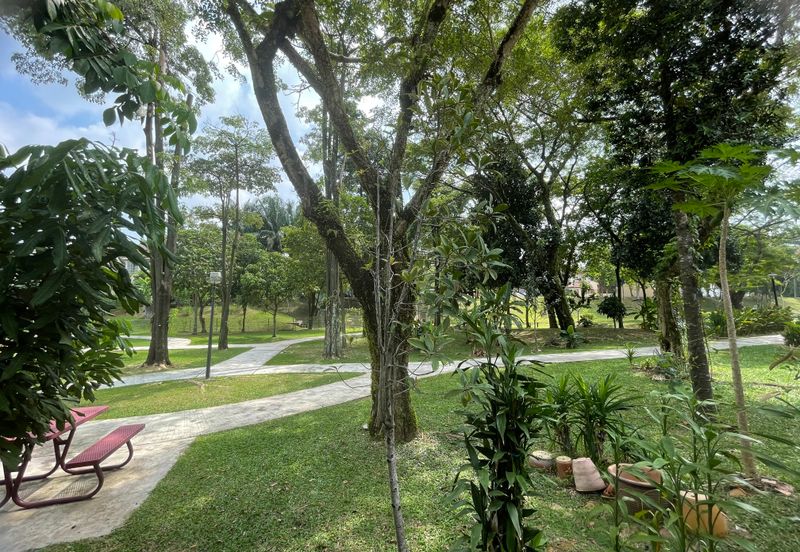 Ara Vista, Ara Damansara