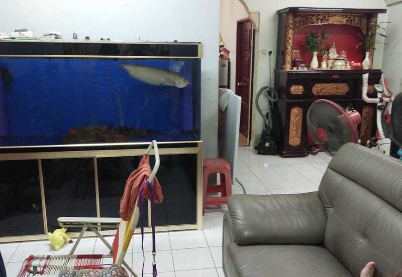 Saujana damansara, saujana, selangor 