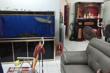 Saujana damansara, saujana, selangor 