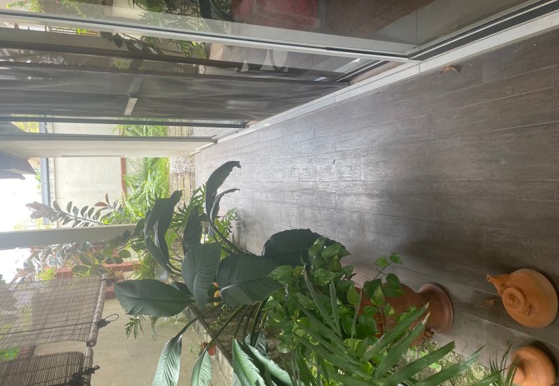 Tropicana Golf & Country Resort