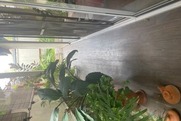 Tropicana Golf & Country Resort