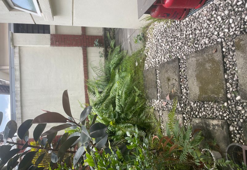 Tropicana Golf & Country Resort