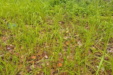 Lakeview Resort Saujana