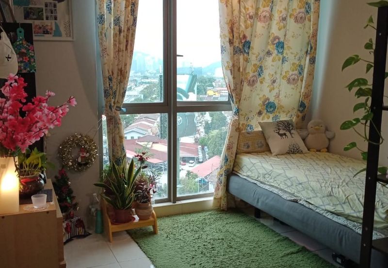 The Tropics Designer Suites