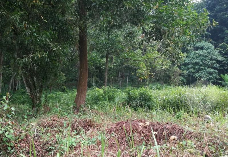 Country heights damansara, Kuala Lumpur 