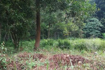 Country heights damansara, Kuala Lumpur 