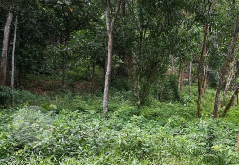 Country heights damansara, Kuala Lumpur 