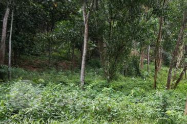 Country heights damansara, Kuala Lumpur 