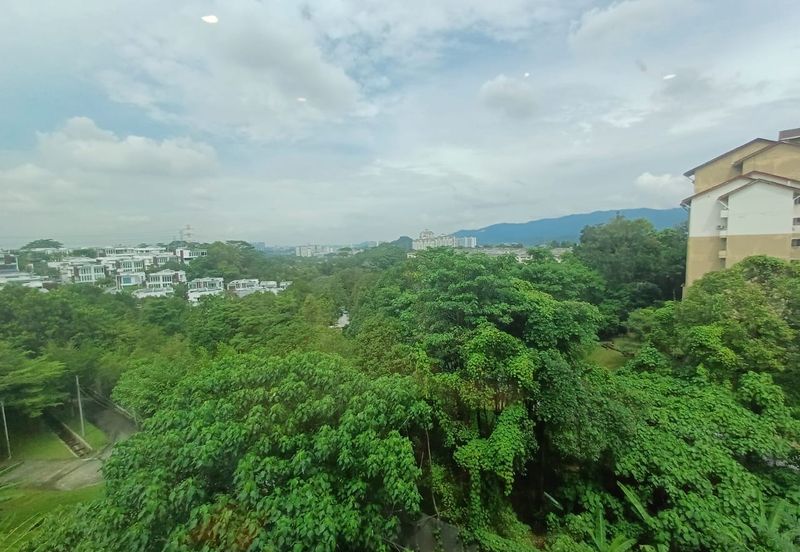 Rafflesia @ The Hill