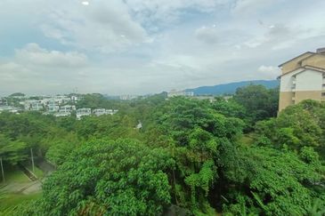 Rafflesia @ The Hill