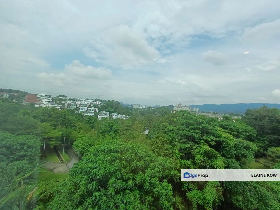 Rafflesia damansara perdana , Selangor, Damansara Perdana