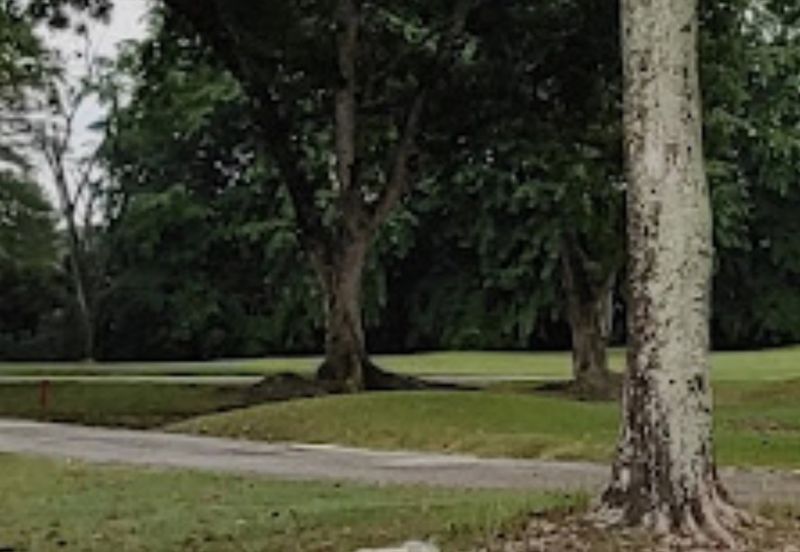 KGSAAS Golf Club, Seksyen 13