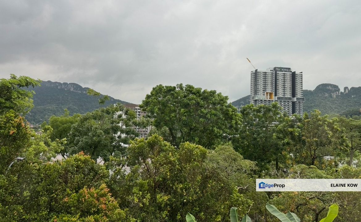 20 trees, taman melawati, Selangor, Taman Melawati