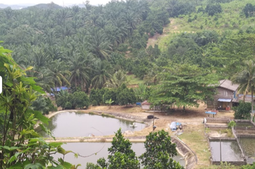 Nilai Forest Art Farmstay Nilai Negeri Sembilan