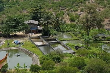 Nilai Forest Art Farmstay Nilai Negeri Sembilan