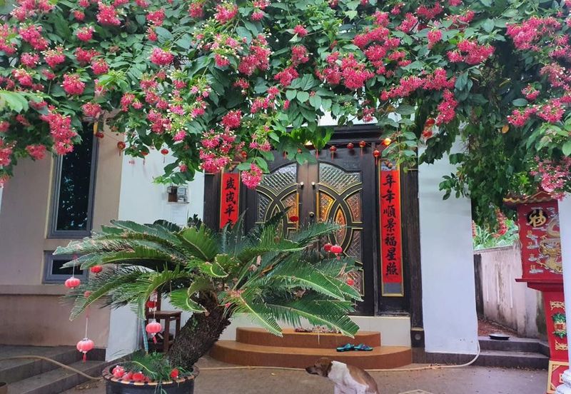 Single Storey Bungalow House Kampung Baru Kuang